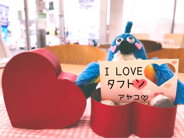 タフトン　バレンタインカードをおまけ